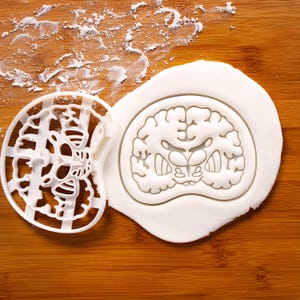 Brain Coronal Section Cookie Cutter: Neuroimaging Anatomy, Neuroradiology Gift