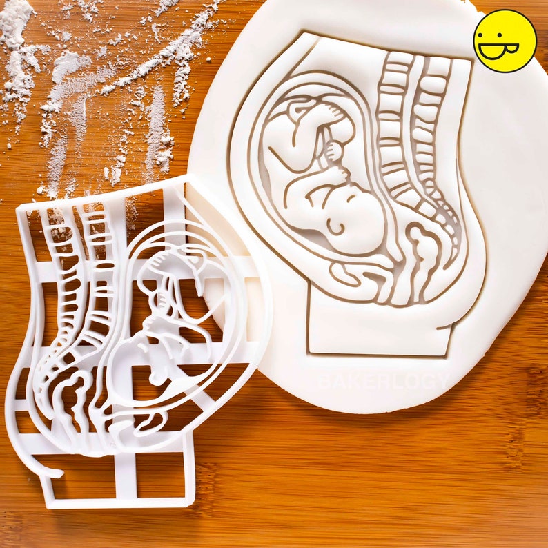 Pregnant Womb with Fetus cookie cutter anatomy physiology medicine cookies pregnancy announcement doctor nurse obstetrics gynecology O&G image 1