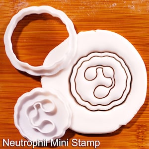 May include: Two white plastic cookie cutters with scalloped edges and a white fondant disc featuring an embossed neutrophil cell shape. The text Neutrophil Mini Stamp is printed at the bottom of the image, showing the tool for creating cell-shaped impressions.