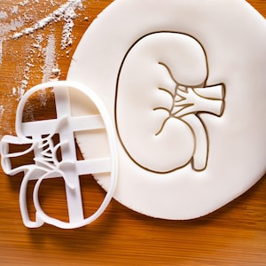 Anatomical Kidney Cookie Cutter – Renal Organ Shape for Medical, Science & Anatomy Baking