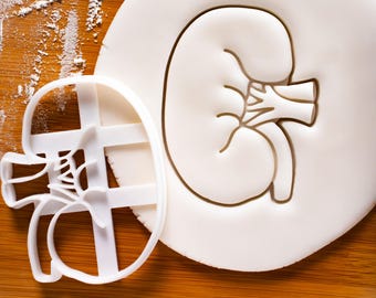 Cortador de galletas anatómico de riñón: forma de riñón para repostería médica, científica y anatómica