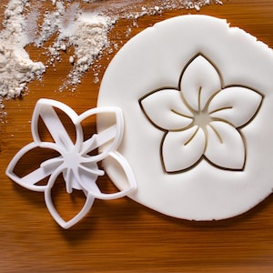 Frangipani Flower koekjesvorm | Bakerlogy koekjes uitstekers Plumeria bloemen Bloesems bloemblad bloemblaadjes Apocynaceae tuinbouw tuinbouw
