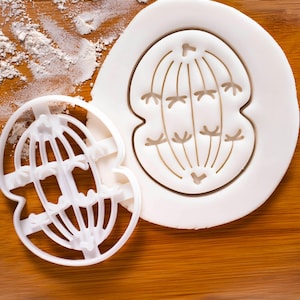 Meiose Cookie Cutter (Anaphase I): Zellzyklus, Mikrobiologie Wissenschaft Geschenk