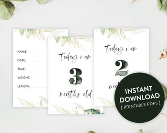 Printable Baby Milestone Cards
