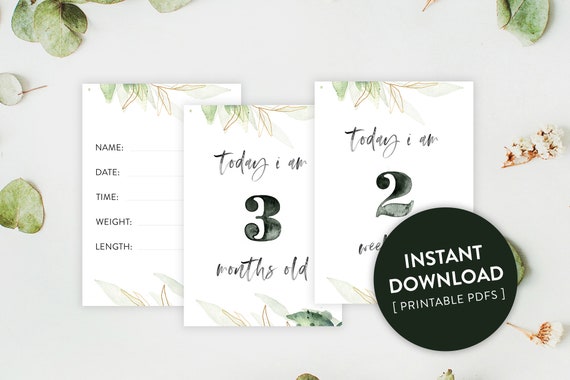 baby milestone cards etsy