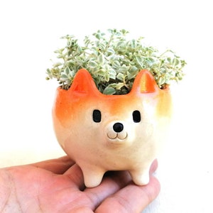 Small shibainu flower pot Glazed poterry suculents pot Dog lovers gift Japan