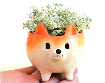 Small shibainu flower pot Glazed poterry suculents pot Dog lovers gift Japan