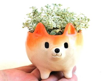 Small shibainu flower pot Glazed poterry suculents pot Dog lovers gift Japan