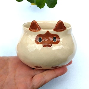 Op de afbeelding: Een keramische plantenpot in de vorm van een kattenkop. De pot is wit met bruine oren, ogen en een neus. Hij staat op een hand.