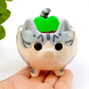 Può includere: Un vaso da fiori in ceramica a forma di gatto con un motivo a strisce grigio e bianco. Il vaso ha una pianta verde a forma di cuore che cresce al suo interno. Il vaso a forma di gatto ha grandi occhi neri e un piccolo naso rosa.
