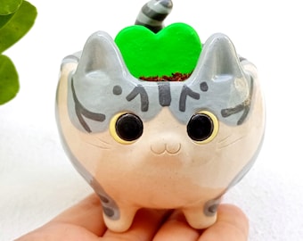 May include: A ceramic cat planter with a gray and white striped pattern. The planter has a green heart-shaped plant growing inside. The cat planter has large black eyes and a small pink nose.