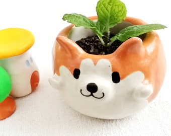 Very small flower pot of orange Akita Inu Poterry cactus pot Shiba dog Japan