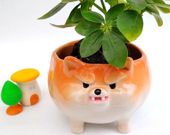 Angry face Shiba inu flower pot Funny ceramic Dog lovers gift Japanese handmade