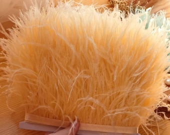 May include: A length of pale peach ostrich feather trim attached to a matching fabric ribbon base. The long, wispy feathers are densely packed and extend upwards from the horizontal band, creating a soft, voluminous, and textured appearance.