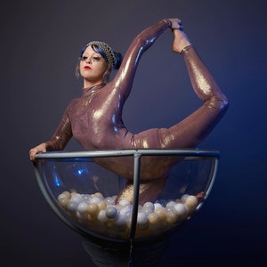 Lavender Gold Jumpsuit: Exotic Sleeved Aerialist Costume