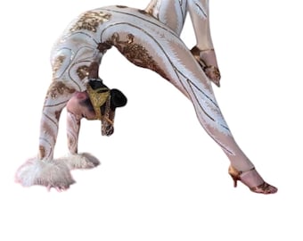 Unique Wedding Catsuit for Circus and Dance Performers in Sequins
