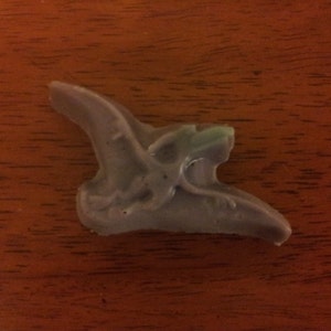 DINOSAUR SOAP PTERODACTYL two soaps t-rex dinosaurs brontosaurus long neck stegosaurus ankylosaurus pterodactyl triceratops children&#39;s kids