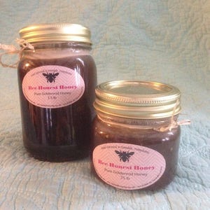 LOCAL HONEY with COMB = hand harvested golden rod allergy treatment