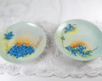 Lovely pair of hand painted small antique porcelain green plates with Blue Forget-me-nots! 1872-1910, one from Bavaria, one from Austria