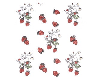 Fabric "Strawberry Picking Season" - By the Yard