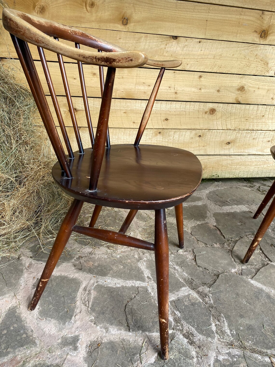 2 Fab Ercol Cowhorn Dining Chairs Etsy