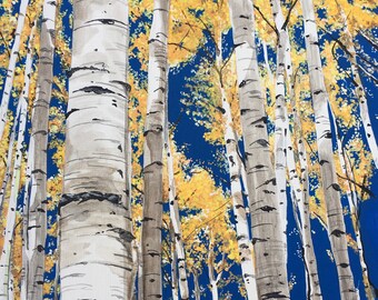 Aspens of Colorado