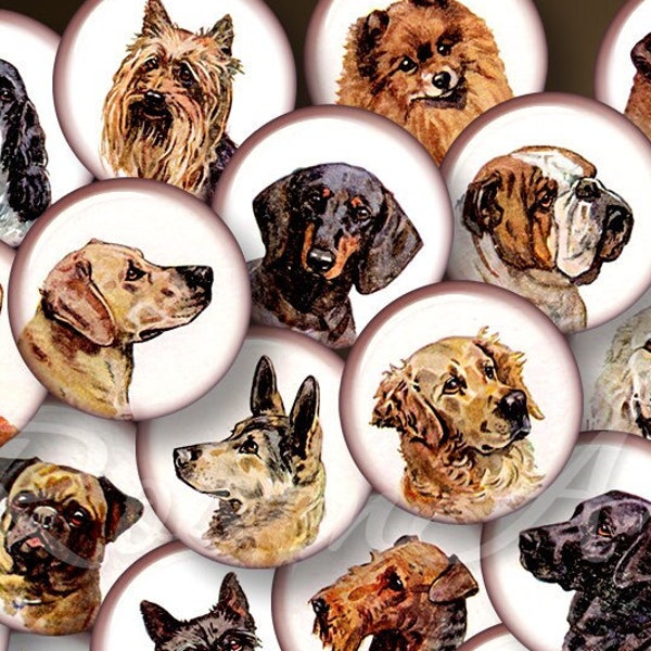 vintage Dogs 1 pouce rond Digital Collage Sheet 1" images de bouchon de bouteille pour pendentifs 30mm, 25mm 1.25", 1.5" cercles imprimable télécharger cabochon