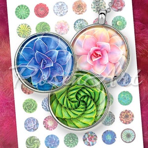 May include: A set of 25 round, printed, adhesive paper stickers featuring various succulent plants. The stickers are perfect for decorating journals, planners, laptops, and other surfaces. The stickers are printed on high-quality paper and have a glossy finish.