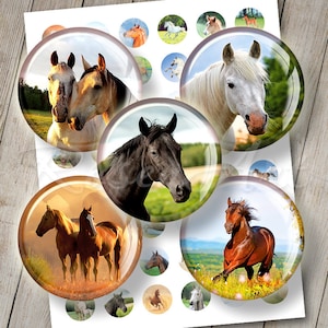 Horses round Digital Collage Sheet bottle cap images for pendants charm instant download cabochon 20mm 18mm 16mm 14mm 12mm printable circles