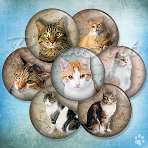 Katter & Kattungar runda digitala collageark flaskkorkbilder för hängen, ladda ner cabochon 20 mm 18 mm 16 mm 14 mm 12 mm utskrivbara cirklar etiketter