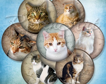 Cats & Kittens round digital collage sheet bottle cap images for pendants, download cabochon 20mm 18mm 16mm 14mm 12mm printable circles tags