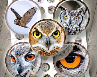 Instant Download Uilen 1" kroonkurkafbeeldingen voor sieraden 1 inch cirkels afdrukbare ronde digitale collage blad cabochon 1,5", 1,25", 30 mm, 25 mm