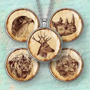 Può includere: Una collana argentata con cinque ciondoli rotondi, ognuno con un'illustrazione di animali in tonalità seppia. I ciondoli raffigurano un falco, un rinoceronte, un cervo, un leone e un lupo. Le illustrazioni sono in stile vintage, schizzate, su sfondo pergamena.