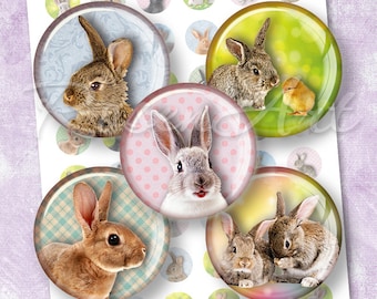 Bunnies & Rabbits 1" bottle cap images, 1 inch circles Digital Collage Sheet cabochon download printable round 30mm 25mm 1.25" 1.5" pendants