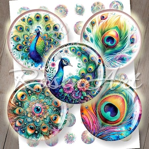 Imagens de tampas de garrafa de pavões em aquarela, círculo de 1 polegada, para pingente, 25 mm, 30 mm, 1,25" e 1,5" para impressão, cabochão, download de folha de colagem digital redonda