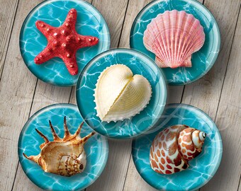 Sea Shells 1" bottle cap images for pendants 1 inch round Digital Collage Sheet 30mm 25mm 1.25" 1.5" circles printable download cabochon art