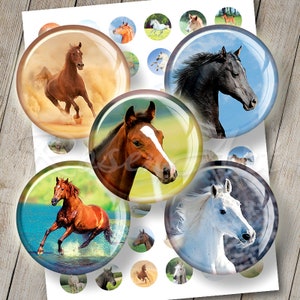 May include: A set of 16 round, colourful, horse-themed, paper coasters. The coasters feature various images of horses in different poses and settings, including a brown horse running through a field, a black horse with a white stripe on its face, a brown horse running through water, and a white horse with a long mane.