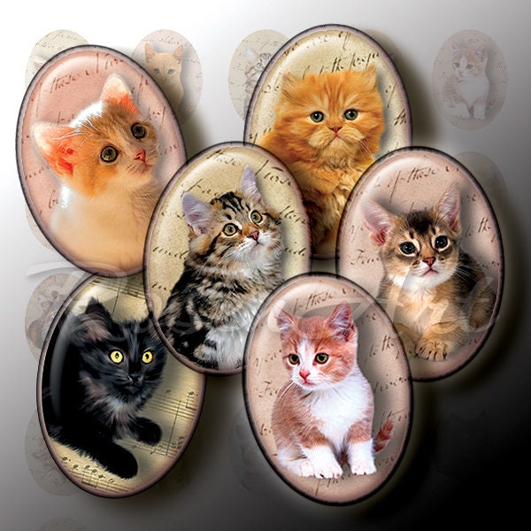 Kittens & katten ovale digitale collage bladafbeeldingen voor hangers cameo 30x40mm 22x30mm 18x25mm 13x18mm afdrukbare download cabochon charme ontwerp