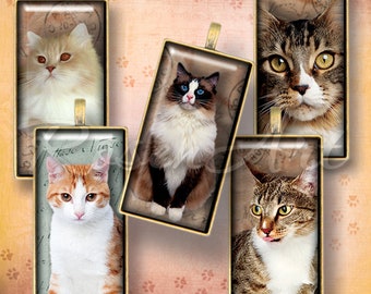 Cats & Kittens digitaal collageblad 1 x 2" Domino Tile-afbeeldingen 1 x 2 inch afdrukbare download cabochon 15 x 30 mm, bamboe hanger 0,75 x 1,5" (19 x 38 mm)