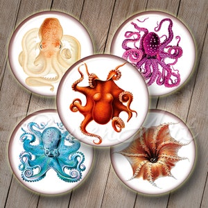 May include: Set of five round paper coasters featuring vintage illustrations of octopuses in various colors, including white, pink, orange, blue, and brown.