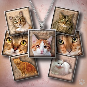 Katzen und Kätzchen 1 "Quadrat Bilder für Anhänger 1 x 1 Zoll digitale Collage Blatt 1,5 "7/8", Scrabble Fliesen Charme druckbarer Download Schmuck Druck