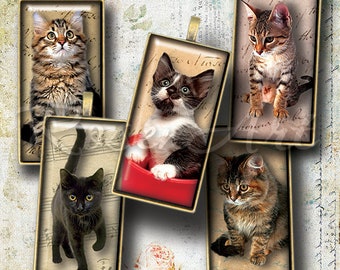 Kittens & Cats digitaal collageblad 1 x 2" Domino Tile-afbeeldingen 1 x 2 inch afdrukbare download cabochon 15 x 30 mm, bamboe 0,75 x 1,5" (19 x 38 mm) hanger