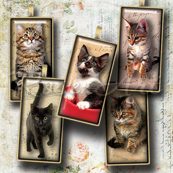 Kittens & Cats Digital Collage Sheet 1x2" Domino Tile images 1x2 inch printable download cabochon 15x30mm, bamboo 0.75x1.5"(19x38mm) pendant