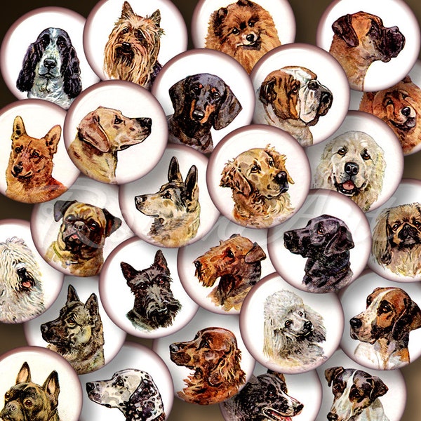 vintage Dogs feuille de collage numérique 20mm 18mm, 16mm 14mm, 12mm télécharger cabochon rond cercles imprimables images de bouchon de bouteille pour pendentifs de charme