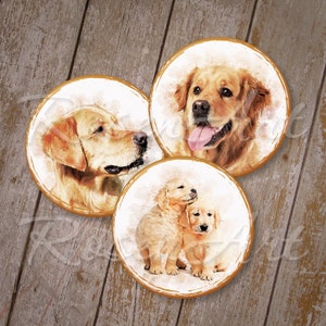 Może przedstawiać: Zestaw trzech okrągłych podkładek z akwarelowymi portretami Golden Retrieverów. Podkładki przedstawiają różne pozy, w tym psa z wystawionym językiem i dwa szczeniaki. Podkładki mają białe tło ze złotą obwódką.