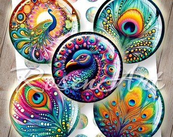 May include: A set of 12 round, colorful, peacock feather themed, printable stickers. The stickers feature a variety of peacock feather designs in shades of blue, green, gold, and purple.