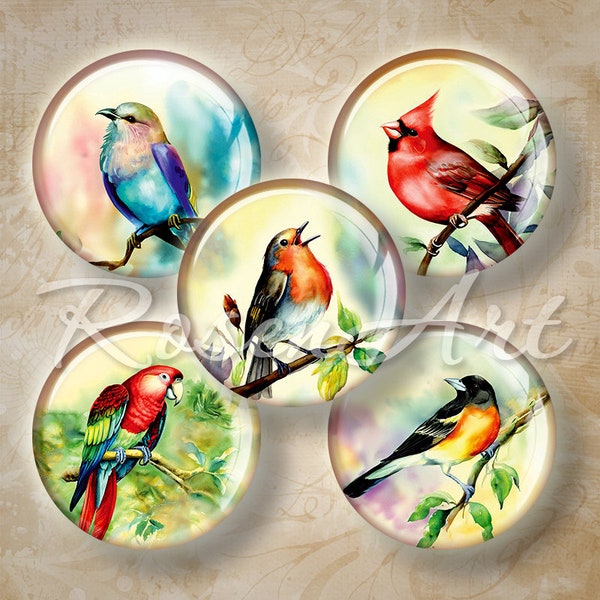 Birds 1 inch round Digital Collage Sheet animal 1" bottle cap images for pendants 30mm, 25mm 1.25", 1.5" circles printable download cabochon