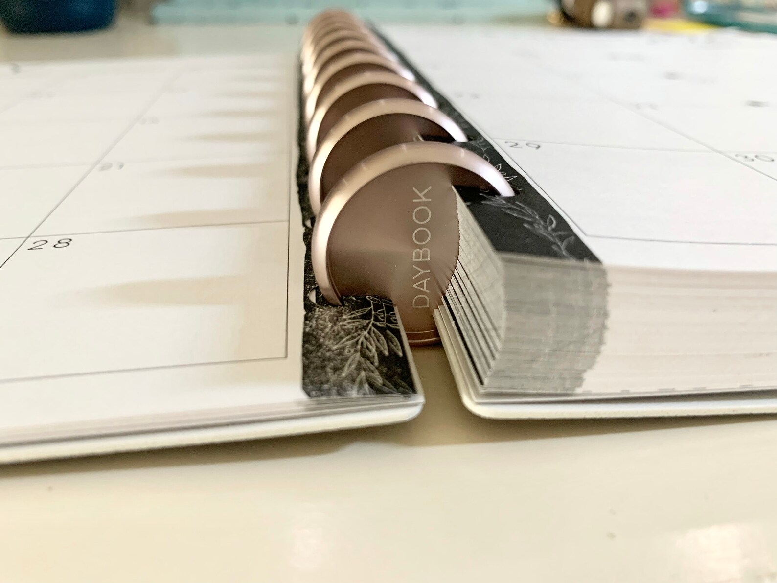 Binding Discs for Discbound Planners 28mm 9 PC DAYBOOK, Catholic