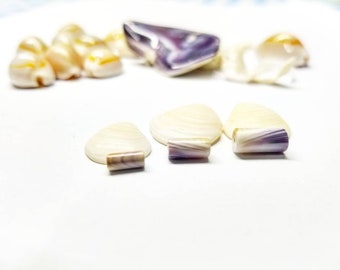 2 Drilled Tube Beads Quality Wampum 10mm long choose a diameter *promo photo