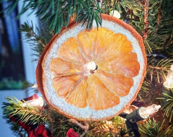 6 Pack of Dehydrated Orange Decor*promo photo